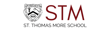 STM LOGO