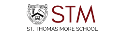 Website STM Logo